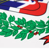 Bandiera Repubblica Dominicana 60 x 90 cm