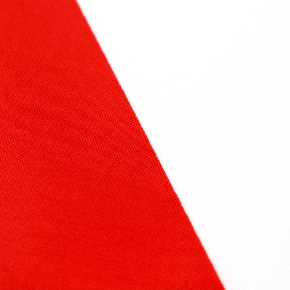 Bandiera Palestina 60 x 90 cm