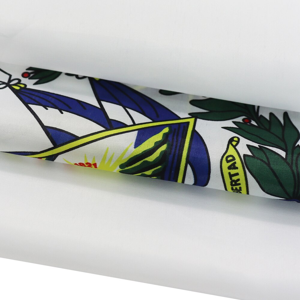 Bandiera Salvador esterno