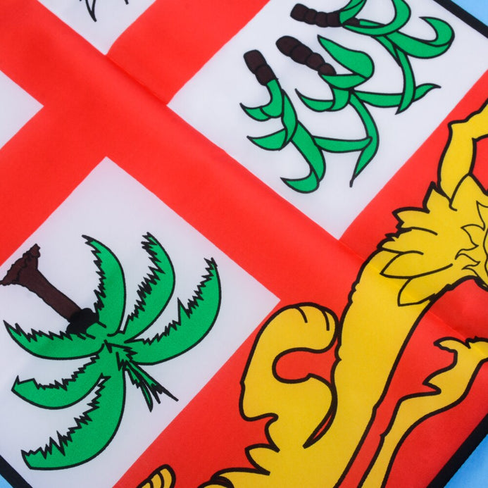 Bandiera Fiji qualità PRO