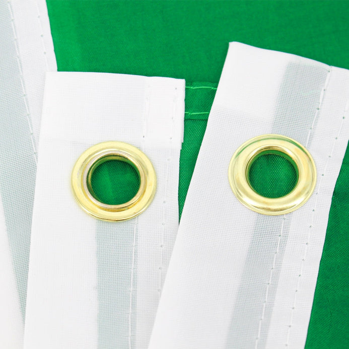 Bandiera Irlanda con trifoglio