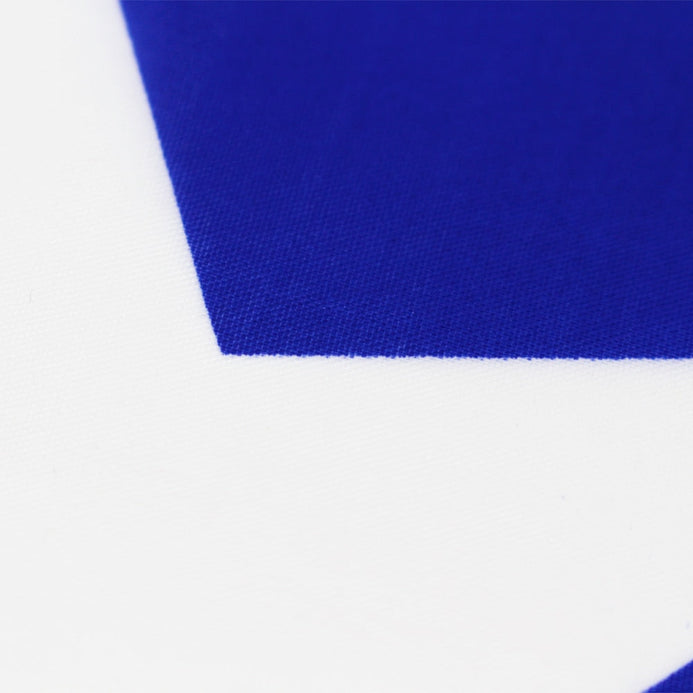 Grande bandiera Bosnia Erzegovina